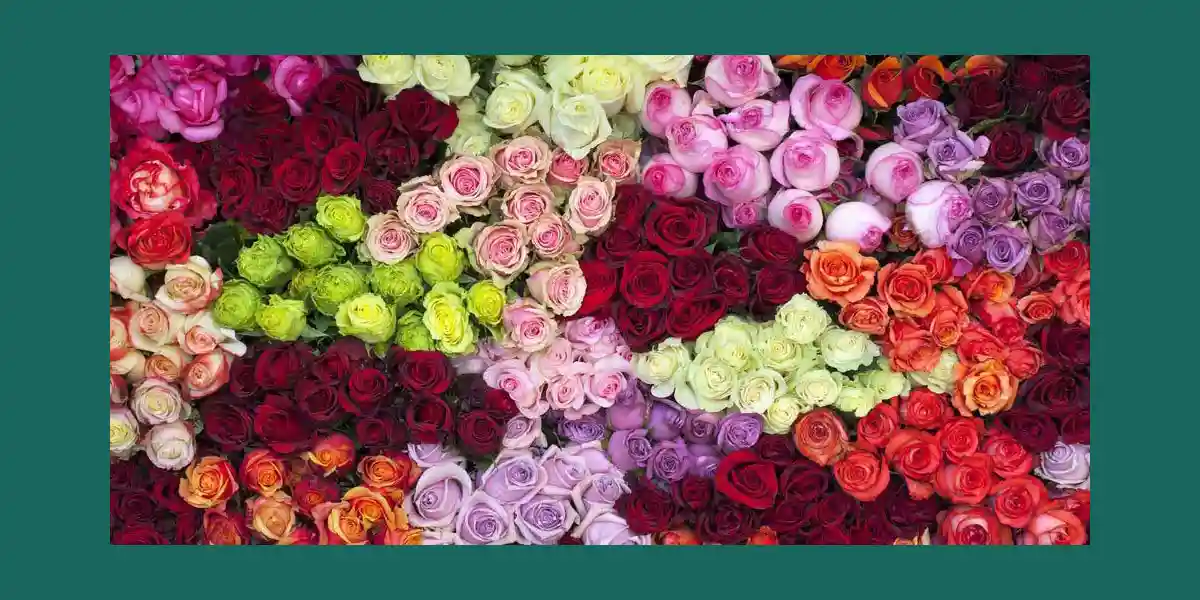 رنگ شناسی در گل آرایی