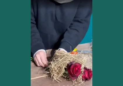 آموزش دسته گل آموزش رایگان دسته گل رز آموزش تصویری دسته گل رز